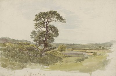 Paysage au Snowdonia avec un arbre au premier plan - John Linnell